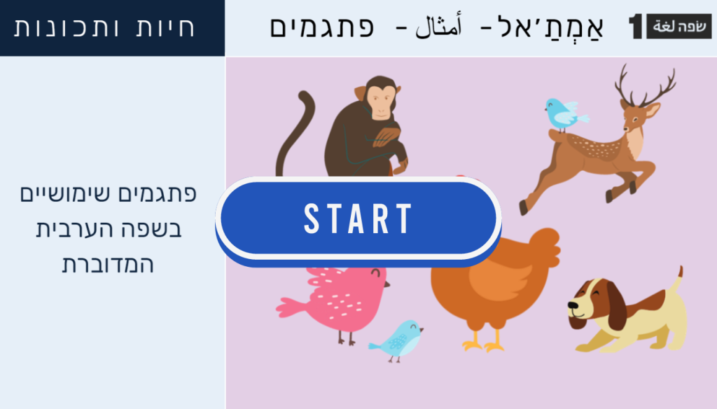פעילות פתגמים בערבית מדוברת מתוך קורס הערבית השלם של שפה1